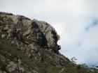 thumbs/IMG_4289.jpg