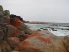 thumbs/IMG_4312.jpg