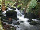 thumbs/IMG_4341.jpg