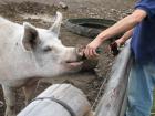 thumbs/IMG_4350.jpg